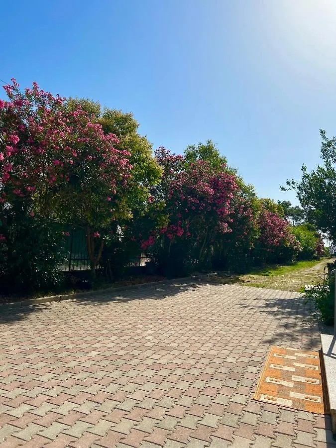 Apartment Kune,Shëngjin Albánie